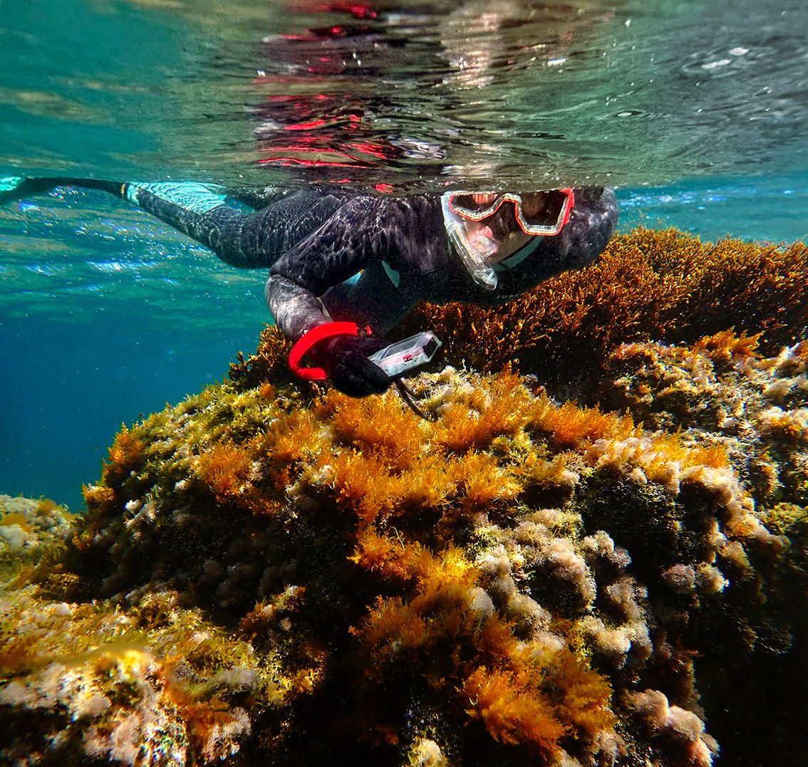 Plongeur en snorkeling au-dessus des fonds marins de l'Estérel
